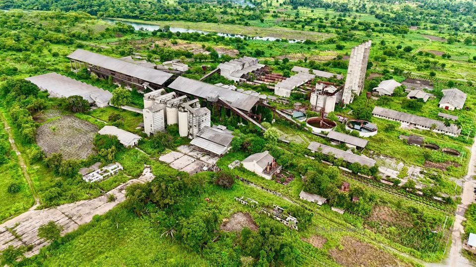 Industrial growth
